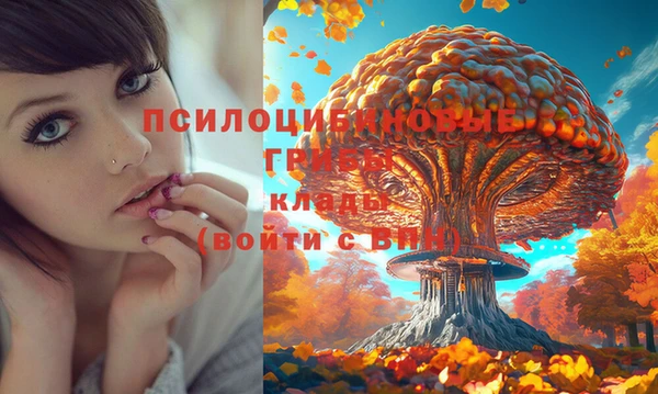 ГАЛЛЮЦИНОГЕННЫЕ ГРИБЫ Алексин
