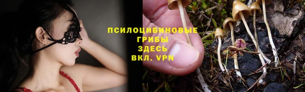 винт Алексеевка