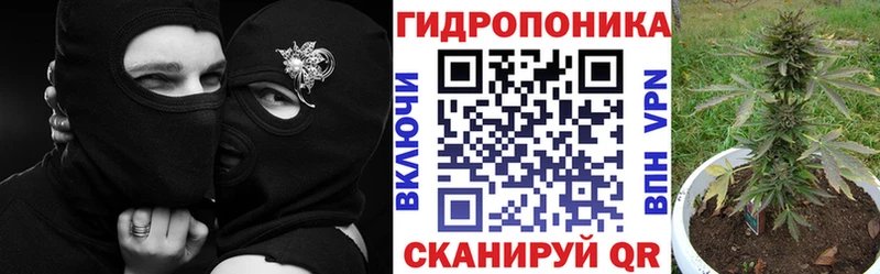 Шишки марихуана VHQ  Кувшиново 